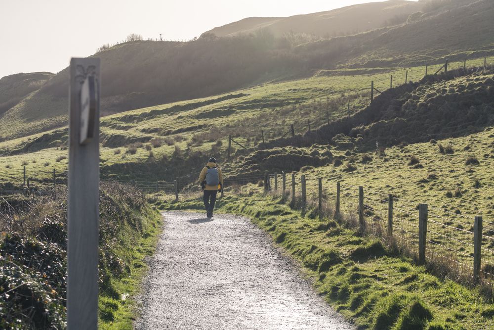 Woman walking on countryside road between fields