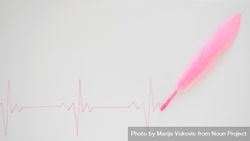 EKG with pink feather on blank background 5rnO35