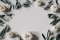 Blank paper with frame of decorative pumpkins