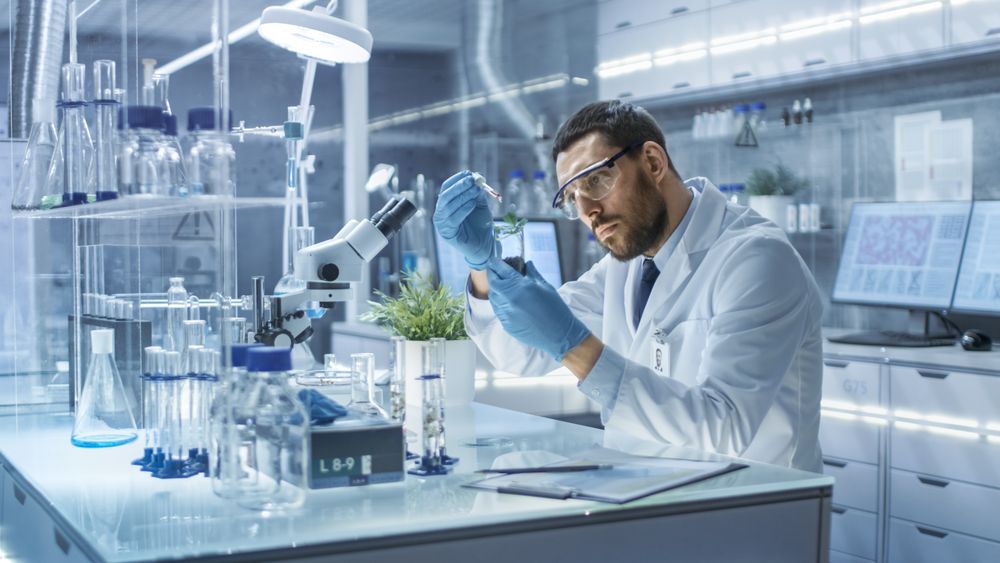 In a Modern Laboratory Research Scientist Conducts Experiments by Synthesising Compounds with use of Dropper and Plant in a Test Tube.