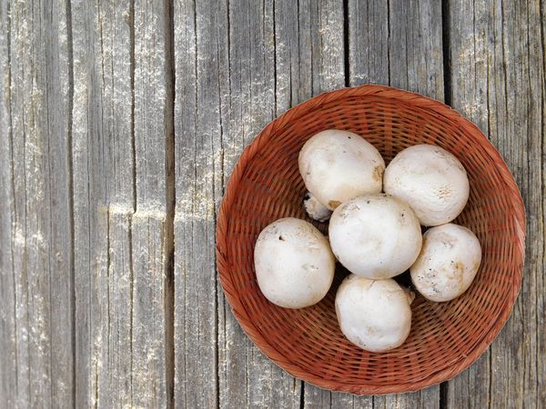 Mushrooms On The Wooden Background