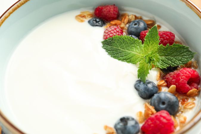 Composition with yogurt dessert and ingredients on plain background, closeup