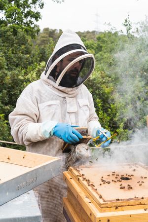 Male beekeeper using bee smoker in apiary