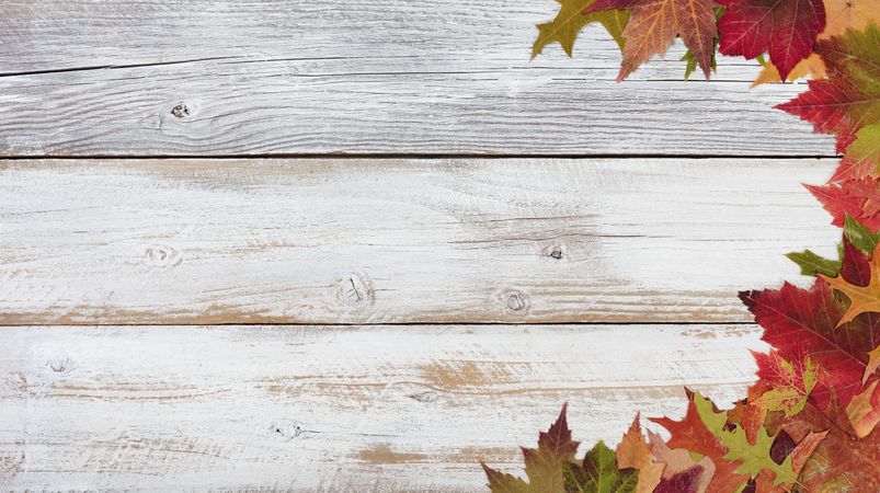 Right border of Autumn foliage on rustic wooden boards