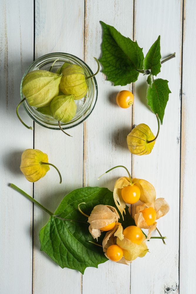 Physalis fruit (Physalis peruviana) also called uchuva, cape gooseberry or gold berries