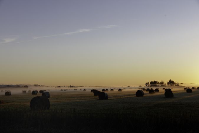 Hay rolls with morning fog and sunrise on large field in McGregor, Minnesota