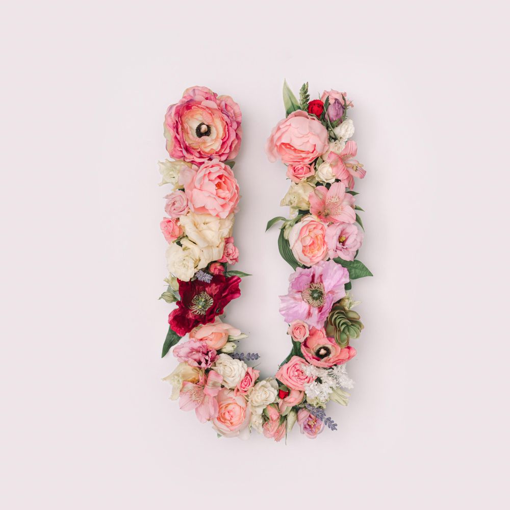 Letter U made of real natural flowers and leaves - Free Photo