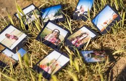 Bunch on instant pictures on grass