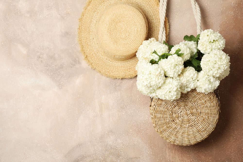 Composition with hydrangea flowers. Spring vibes. Female concept