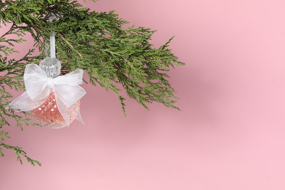 Concept of cosmetics, winter cosmetics, space for text