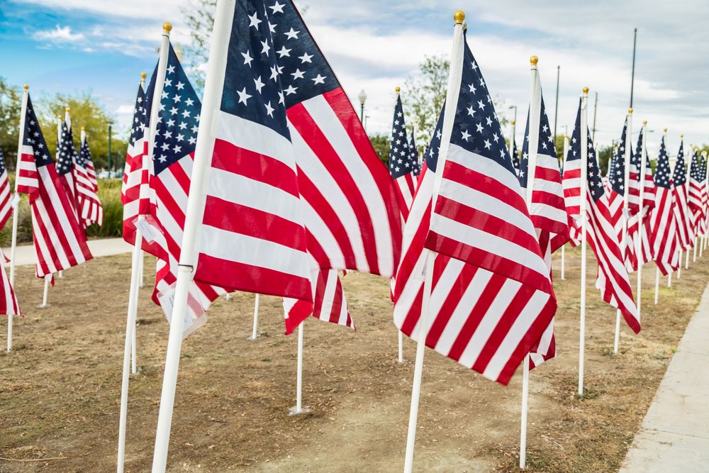 Field of Veterans Day American Flags Waving in the Breeze.