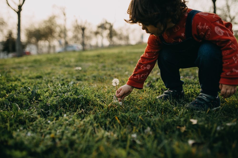 Girl picking a dandelion