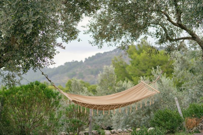 Hammock among green trees in mountainous valley