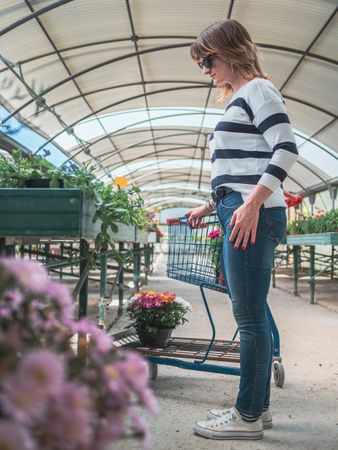 Female choosing plants for garden on flower market
