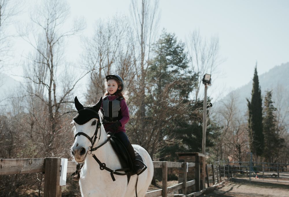 Little girl riding horse in enclosure
