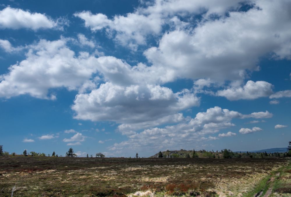 Patchy grass under blue sky with clouds