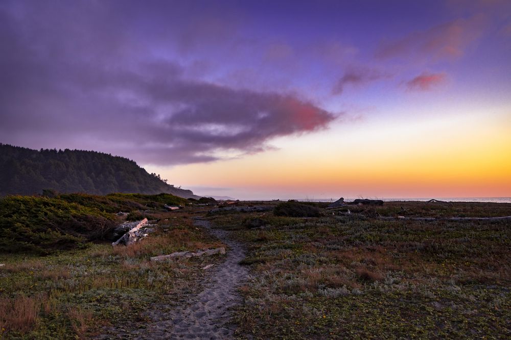 Beautiful view of the coast from a trail