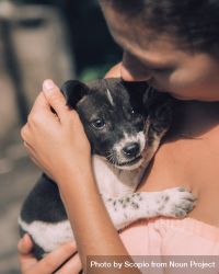 Woman holding short coated puppy 4Z3jnb