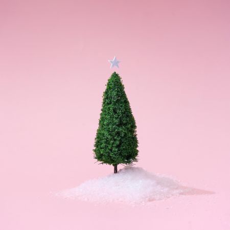Christmas tree with snow on pastel pink background