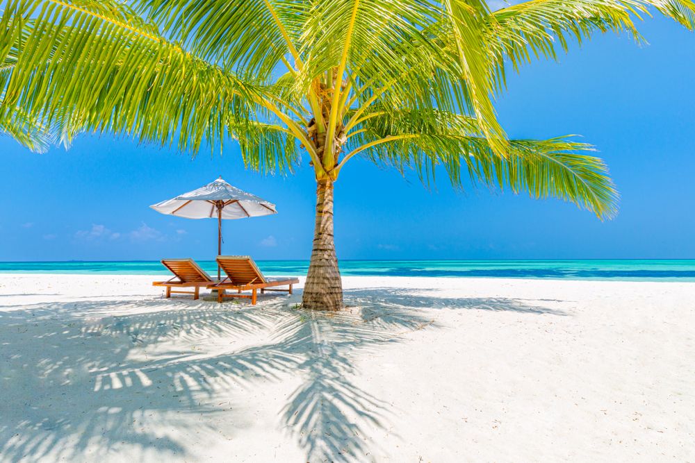 Reclining chairs on a sunny beach with palm tree and sun