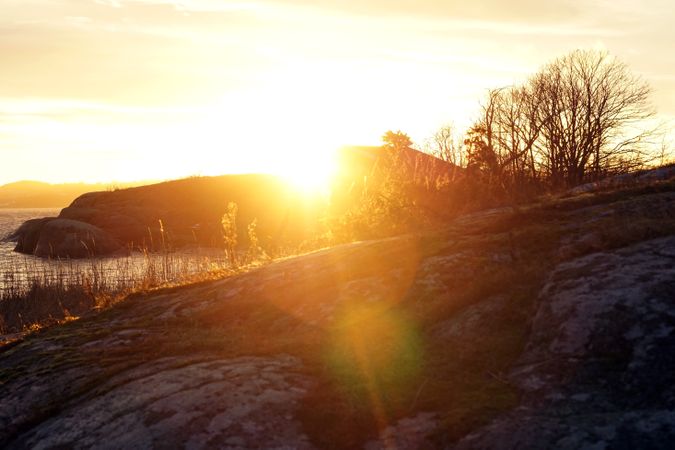 Peaceful meadow in pine forest near lake at sunset