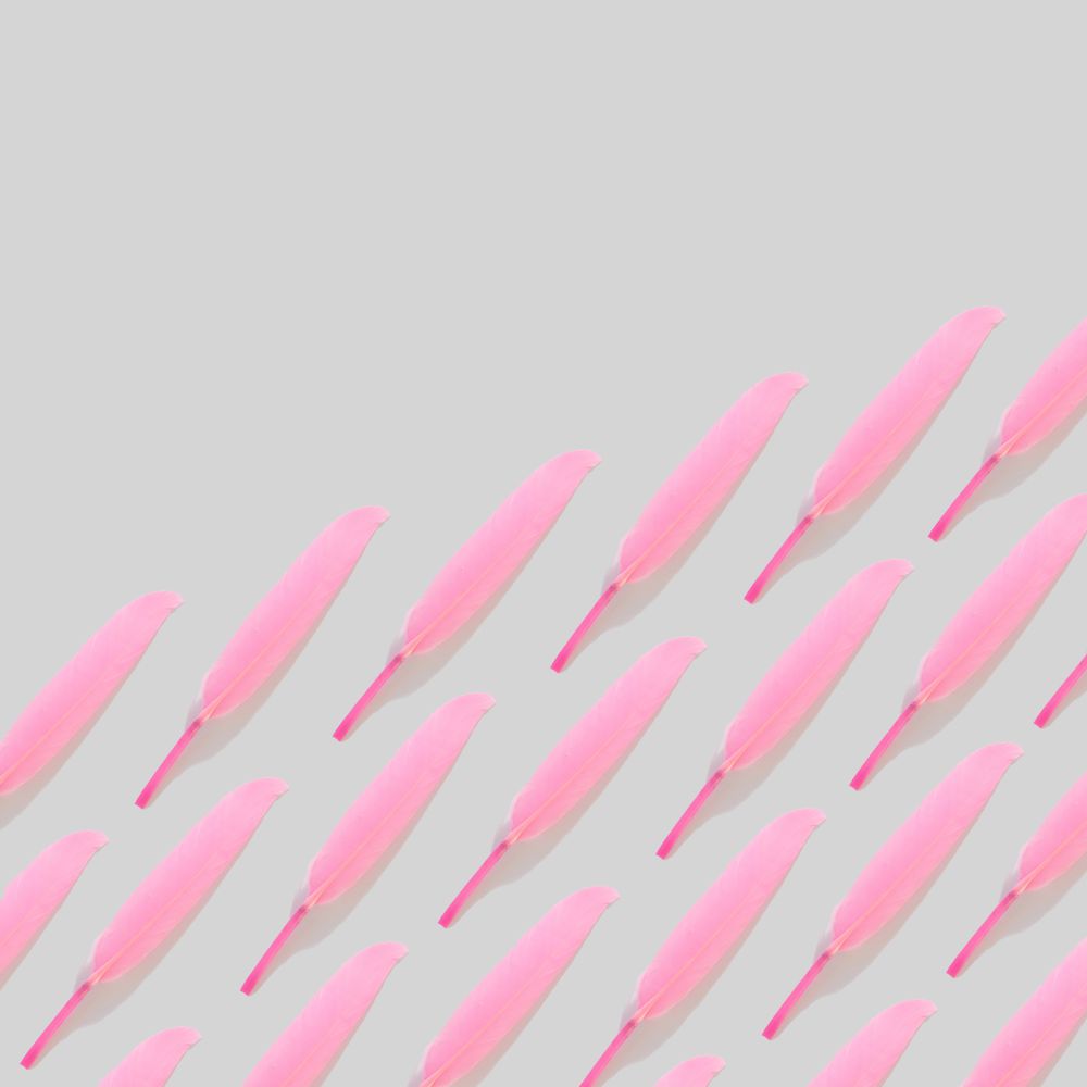 Pattern of pink fathers with copy space