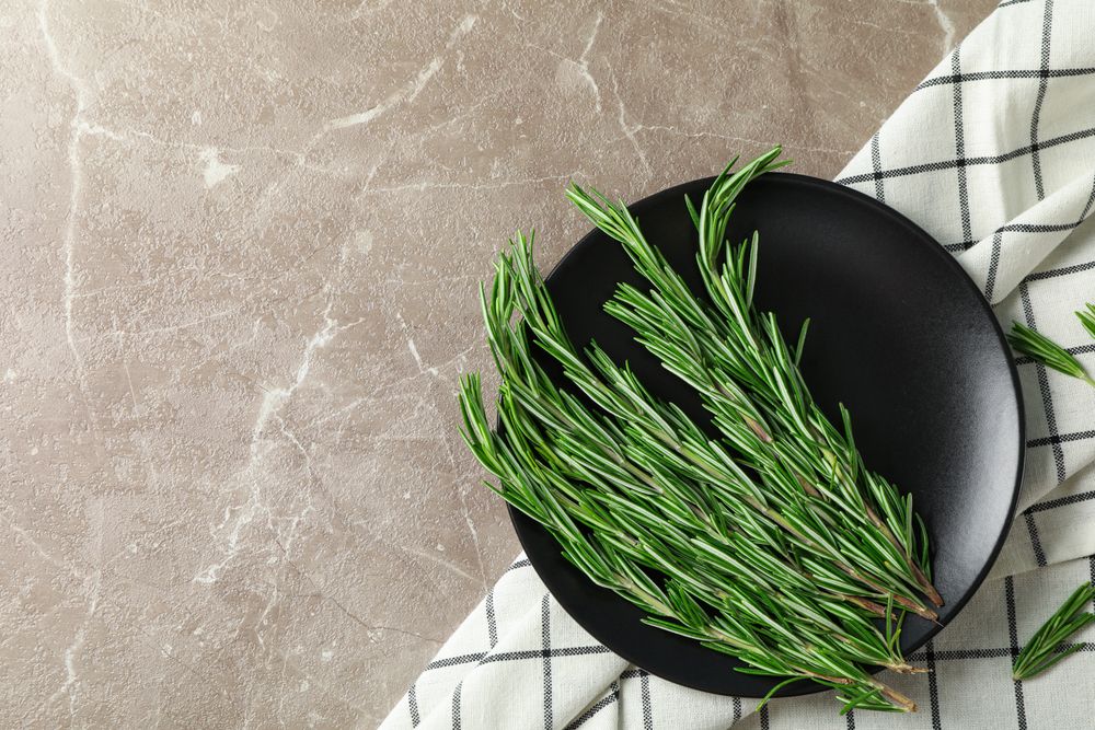 Plate with rosemary and towel on grey table, top view