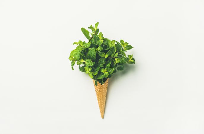 Sugar waffle cone filled with herbs