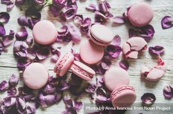 Flat-lay of sweet pink macaron cookies and purple petals 47kyk4
