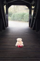 Stuffed toy and gift in a wooden tunnel