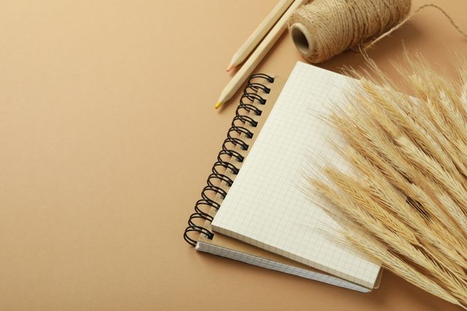 Close up of notebook with dried flowers, yarn, pencils on neutral brown background with copy space