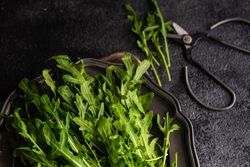 Healthy food plate with arugula leaves