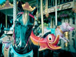 Horse head: Carousel 1900