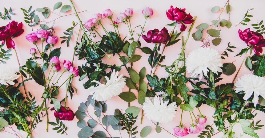 Various summer flowers flat-lay, wide composition