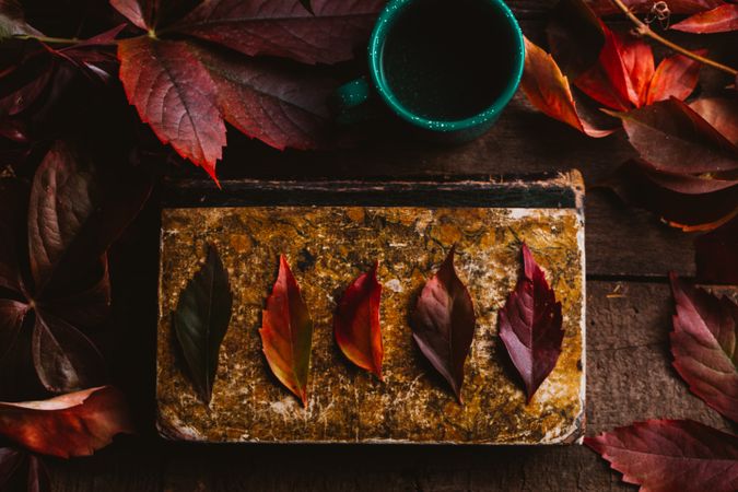 Autumn leaves on old book with cup on wooden surface