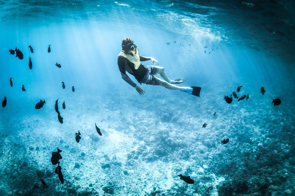 Underwater shot of diver between fish