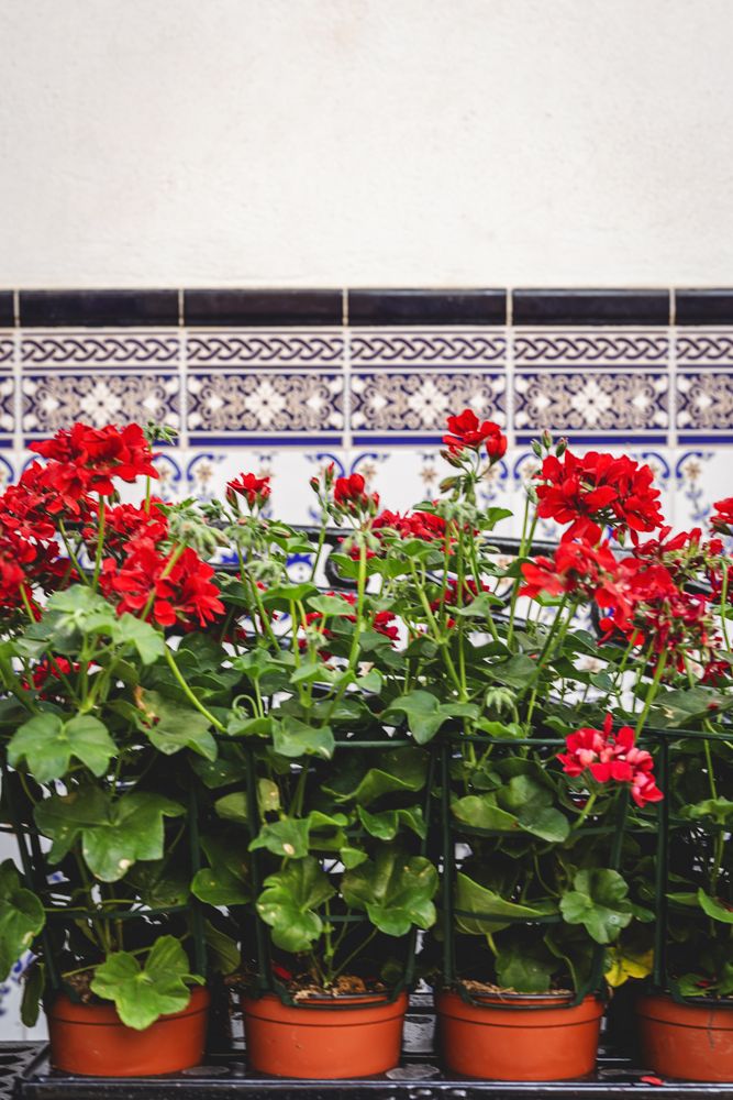 Typical Andalusian Spanish villages
