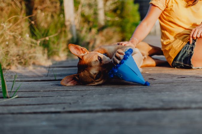 Casual young woman resting next to brown dog with party hat
