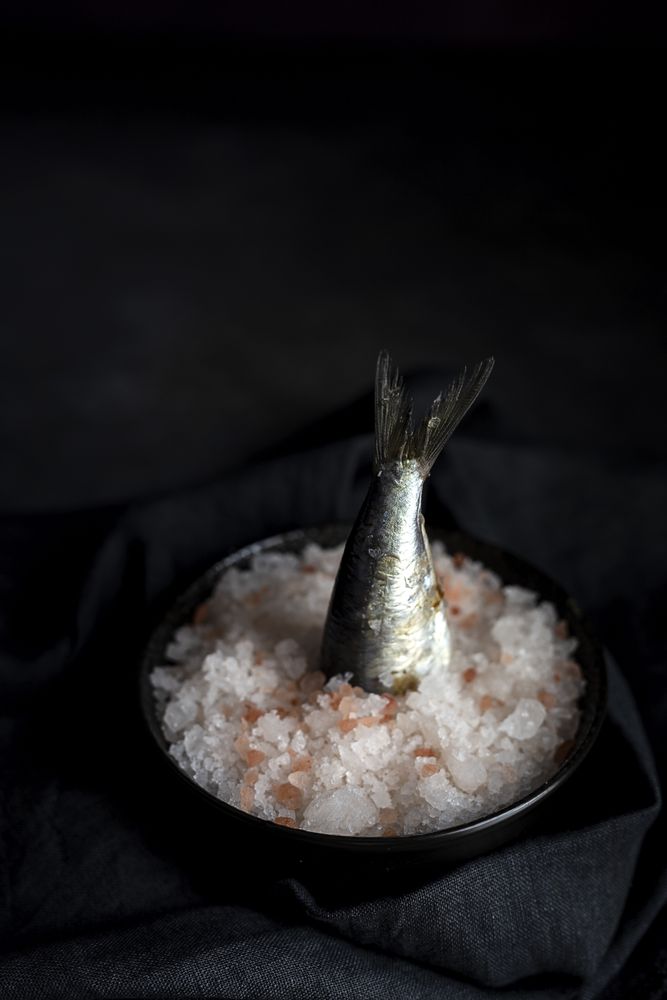 Tail of sardine in plate with salt