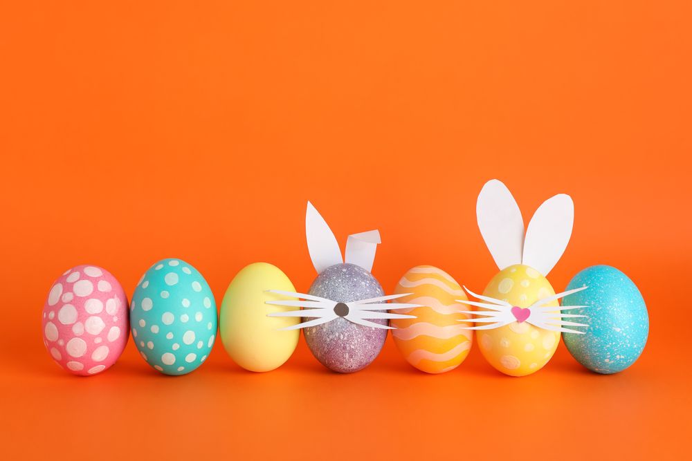 Decorated Easter eggs and cute bunny's ears on color background