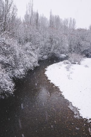 River streaming between snow forest