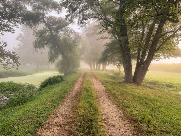 Pond, drive, stream and field bathed in morning mist