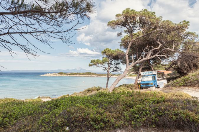 Old truck on coastal road with old trees