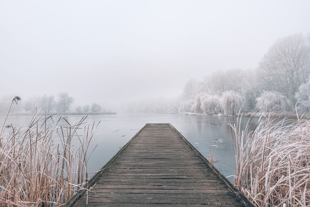 Lake surrounded by frosted trees and tall grass with frost