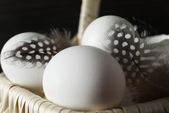 Concept of fresh and natural farm product - eggs