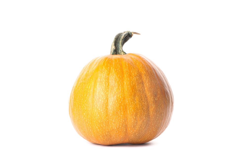 Fresh orange pumpkin isolated on plain background