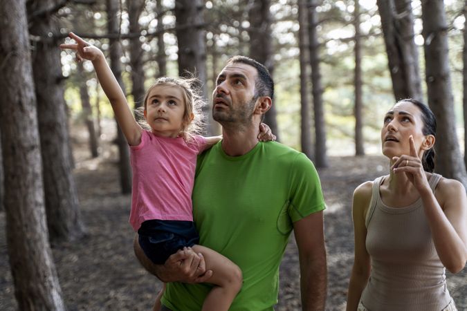 Little girl pointing up while exploring forest with parents on nature walk