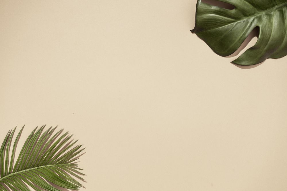 Top view of green tropical leaves and shadows on sand color background