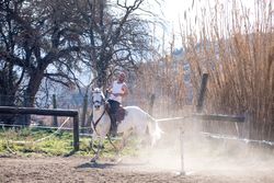 Smiling man riding horse and kicking up dust