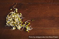 Bean sprouts on wooden table 5wr8y0
